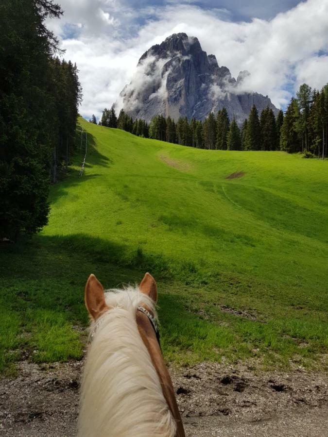 Hotel Pozzamanigoni Selva di Val Gardena Zewnętrze zdjęcie